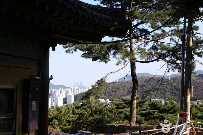 Discover Geumyongam Temple in Busan - image 15