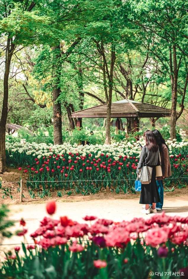 Explore Seoul Forest - image 17