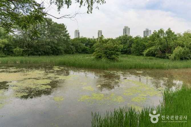 Discover Bangi - image 6