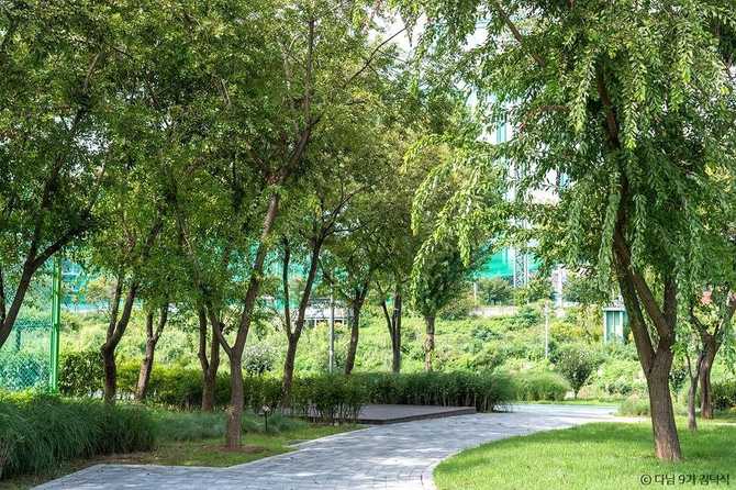 Guro Picnic Garden - image 5