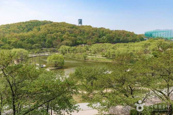 Explore Seoul's Top Natural and - image 3