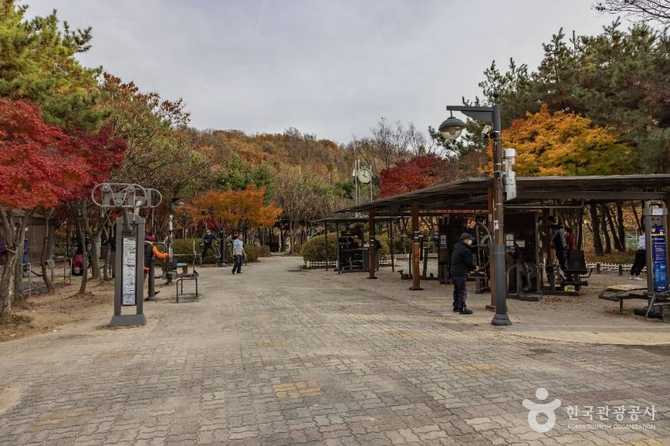 Discover the Best Outdoor Fitness - image 5