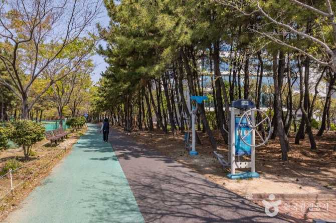 Discover Signo Park - image 5