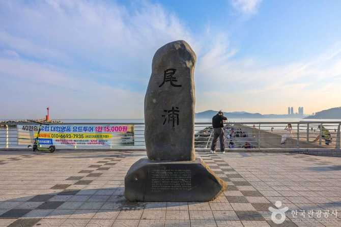 Explore Mipo Port in Busan - image 6