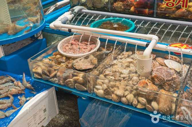Garak Fish Market - image 6