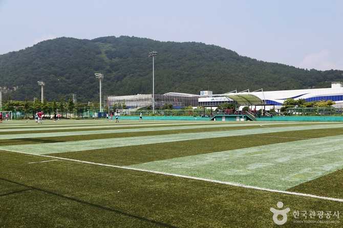 Discover Busan's Baegunpo Sports Park - image 8