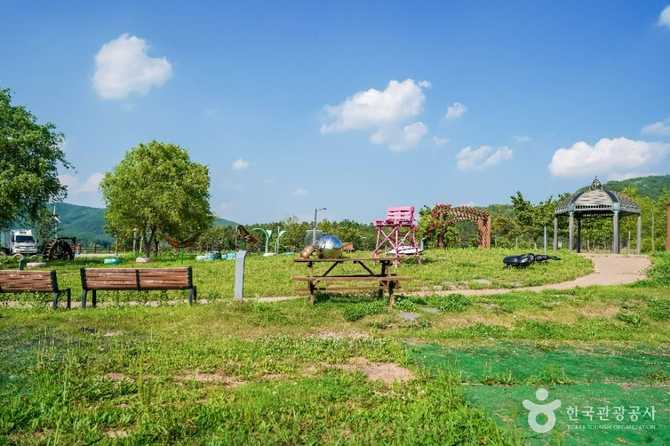 경북 군위군 위천수변테마공원, 자연과 여가를 동시에 즐기기 좋은 명소 5