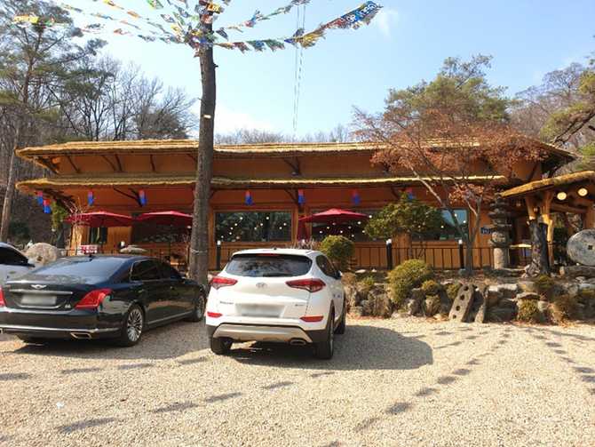 Golden Garden - image 4