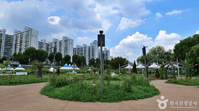 Discover the Beauty of Annyeoncheon - image 3