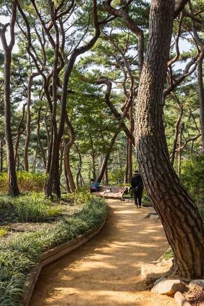 아차산 가는 길과 역사적 의미, 전망 명소 안내 5