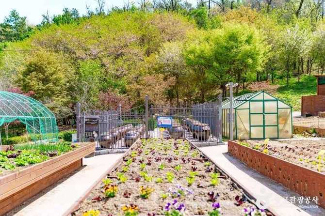 서울 양천구 자연 친화 공간, 양천도시농업공원 소개와 체험 프로그램 안내 5