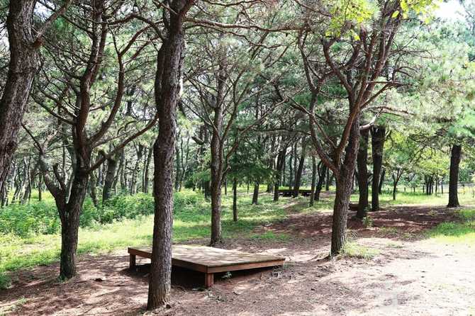 Discover Geumjeongsanseong Dongmun Gate - image 17