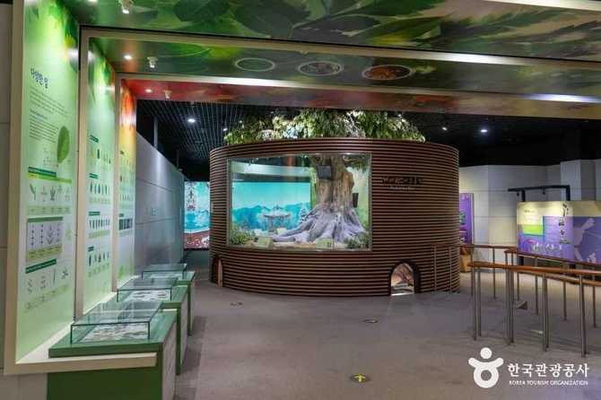 대구수목원 자연생태공원 정보와 방문 가이드 26