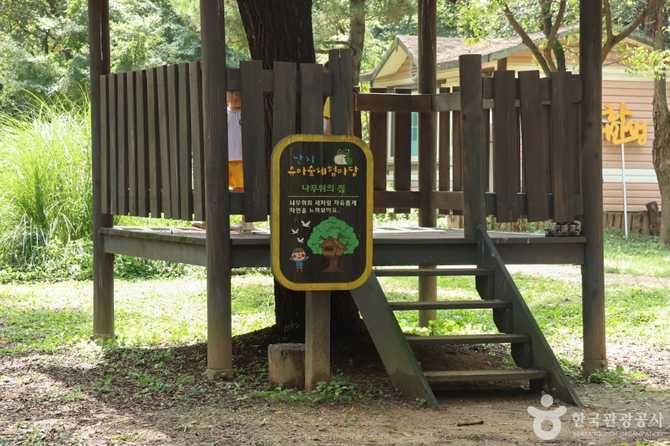 Experience Nature at Seoul's World - image 10