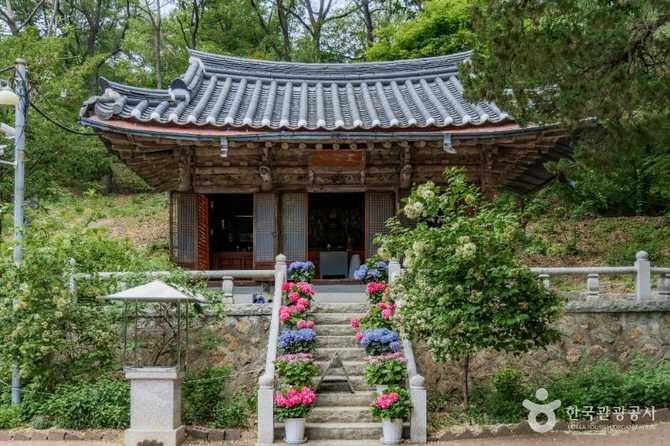 Discover the Historic and Natural - image 6
