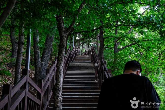 서울 송파구 천마근린공원 안내 및 체험 정보 12