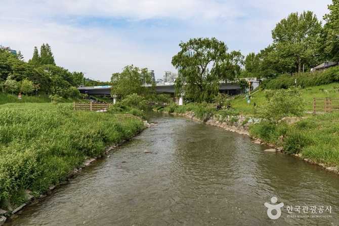 Discover Yangjaecheon Neighborhood Park - image 7