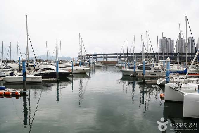 부산 Yacht Tour - image 12
