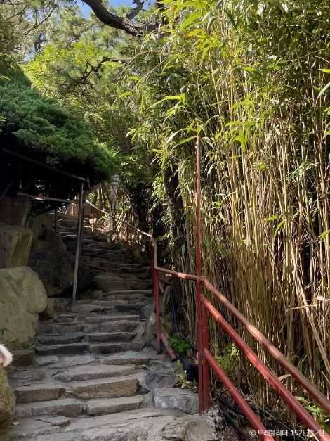 해동용궁사 - image 6