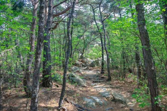 서울둘레길 12코스 호암산길 가이드: 자연과 역사를 함께 걷는 길 14