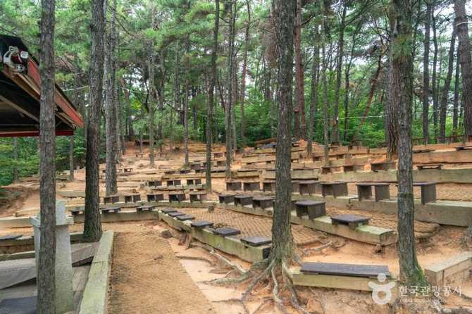 삼성산성지: 한국 순교 성인들의 유해가 안치된 역사적 성지 6