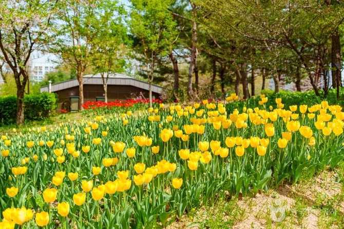 양천도시농업공원: 도시 속 자연과 농업 체험 공간 안내 6