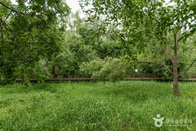 Discover Bangi - image 5