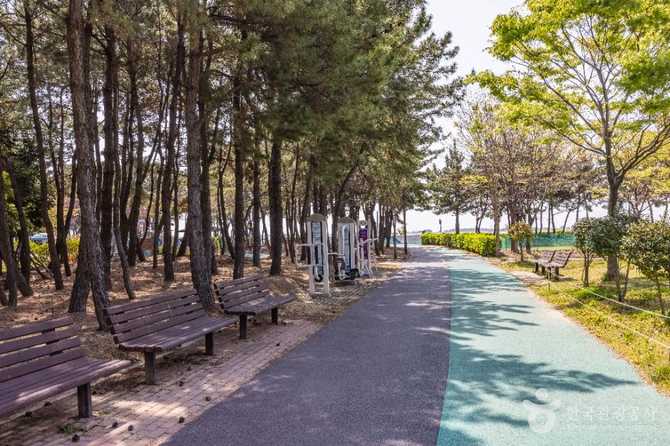 Discover Signo Park - image 8