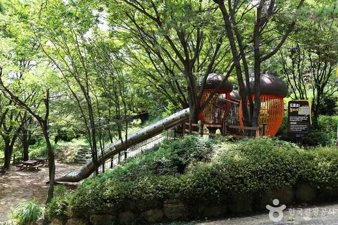 Discover Busan's Hwangryeongsan Leisure - image 5