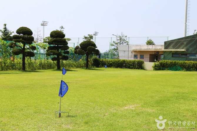 Discover Busan's Baegunpo Sports Park - image 7