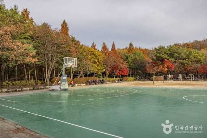 Discover Geumcheon Sports Park - image 8