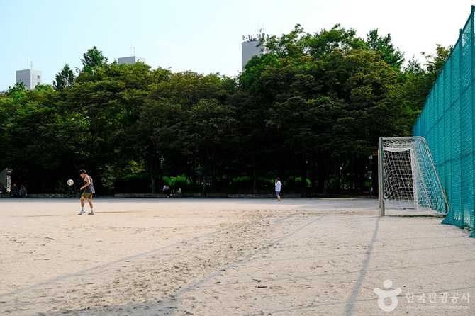노해체육공원 안내 및 이용 정보 - 서울 노원구의 대표 근린공원 6