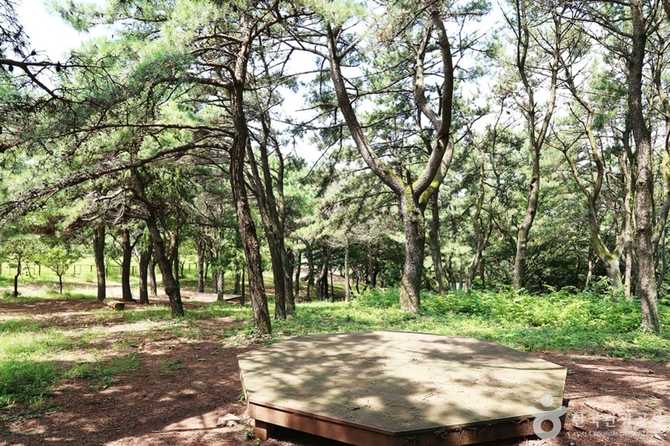 Discover Geumjeongsanseong Dongmun Gate - image 16