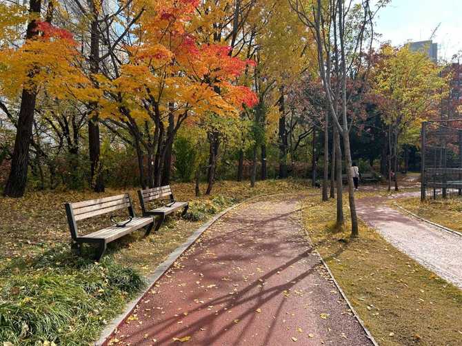 Discover Seoul's Sonki Jeong Sports - image 7
