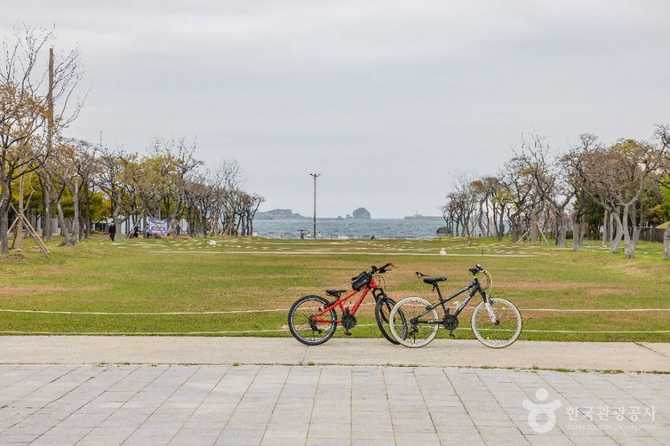 Discover Amir Park - image 7