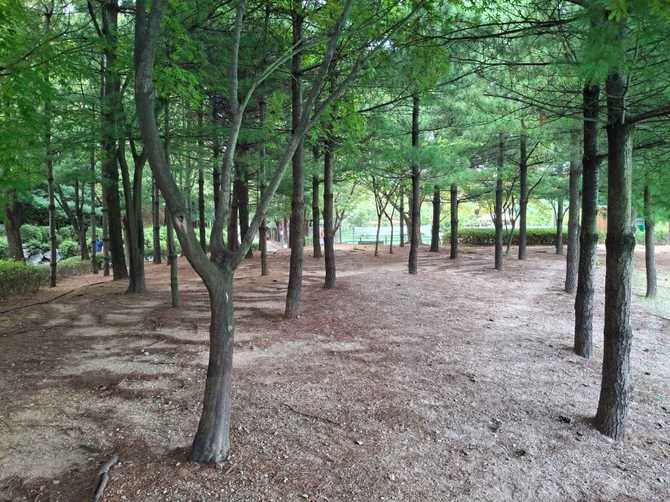 서울 성동구 대현산배수지공원과 모노레일 이용 가이드 7