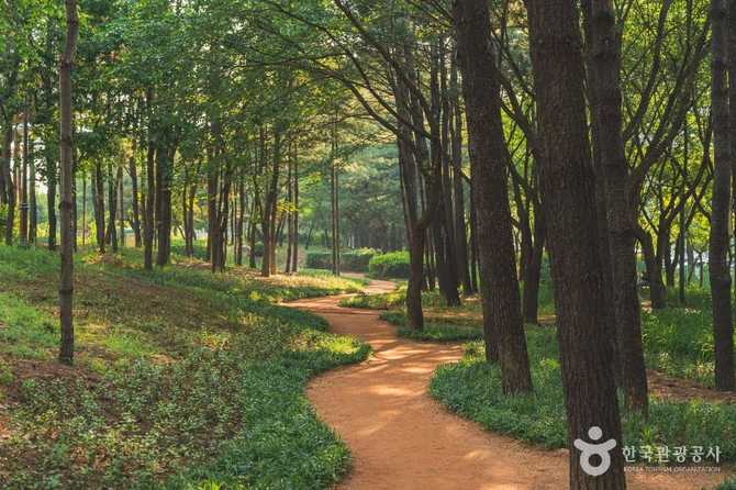 Visit Yileon Eco Park - image 5
