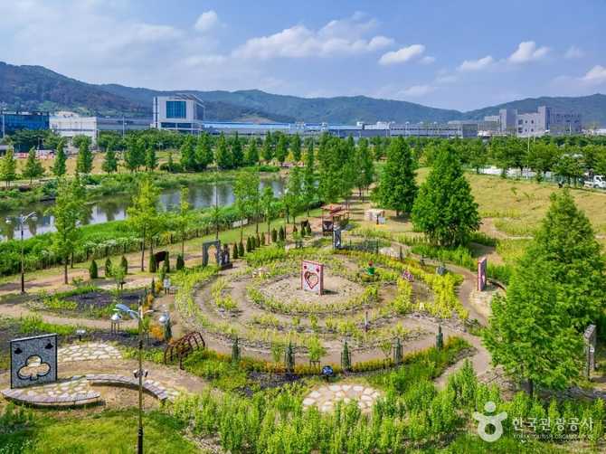 대구 달성군 세천늪테마정원 방문 가이드와 추천 명소 6