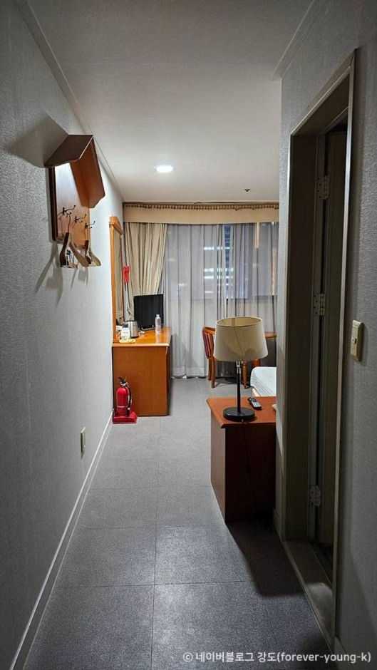 Busan Central Hotel - image 6
