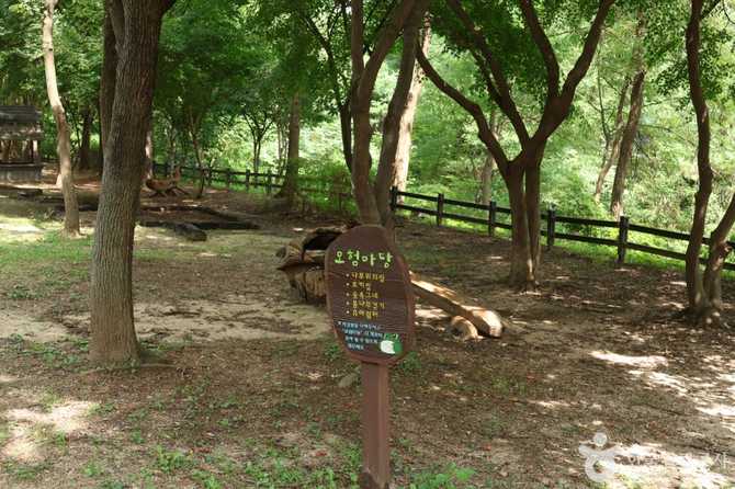 Experience Nature at Seoul's World - image 14