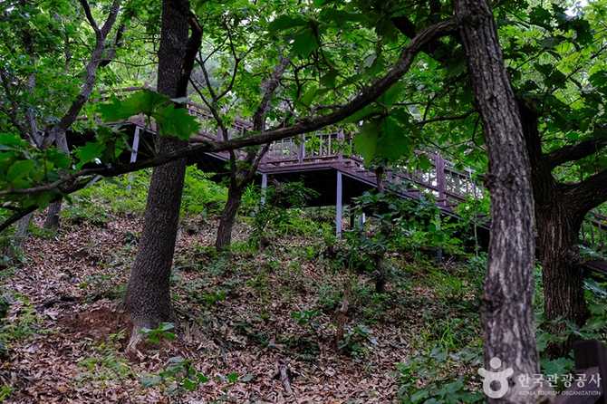 서울 송파구 천마근린공원 안내 및 체험 정보 13