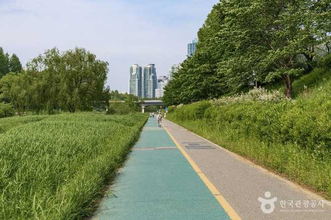 Discover Yangjaecheon Neighborhood Park - image 6