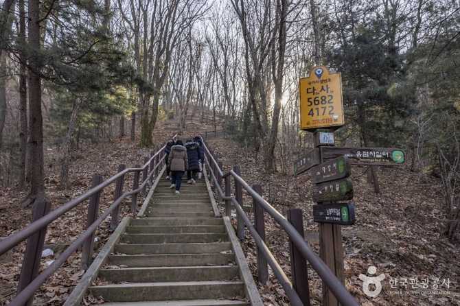 우면산 소망탑: 서울과 과천의 대표 산책 명소와 전망 포인트 7