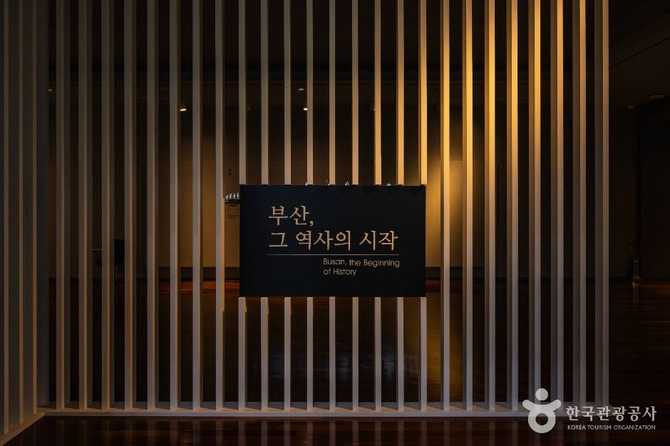 부산박물관 소개와 방문 정보: 부산의 역사와 문화유산을 한눈에 31