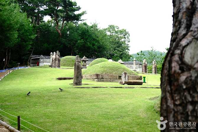Discover Seoul's Yeonsangun Tomb - image 15