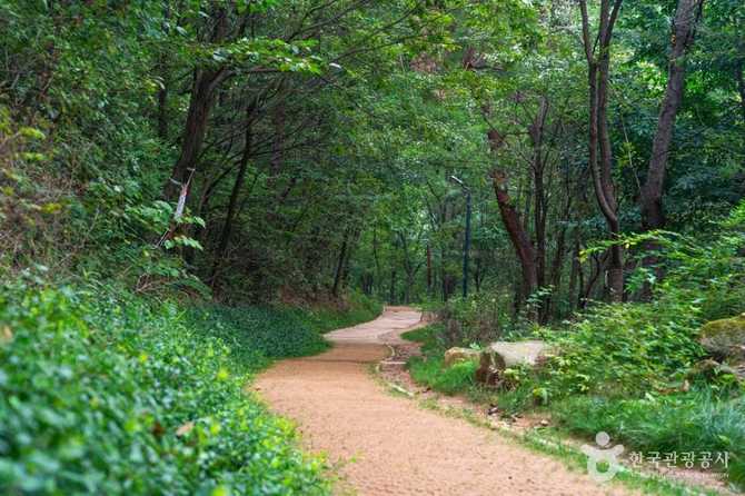 삼성산성지: 한국 순교 성인들의 유해가 안치된 역사적 성지 7
