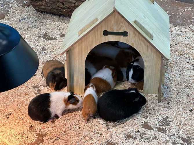 Family - image 15