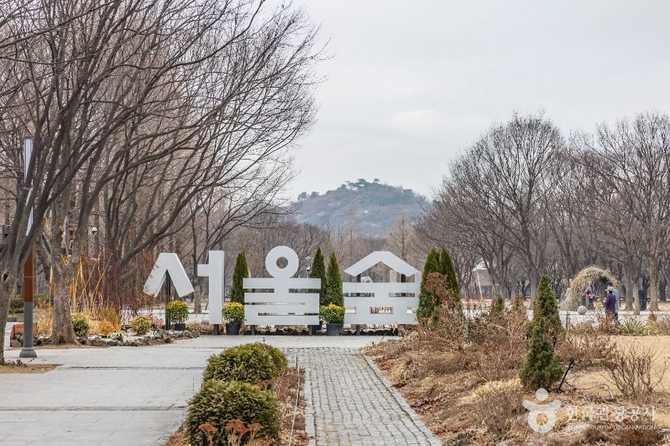 Explore Seoul Forest - image 16
