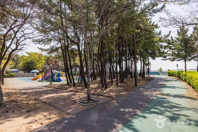 Discover Signo Park - image 7