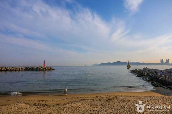 Explore Mipo Port in Busan - image 7